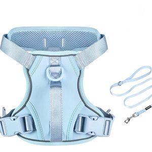 harness and leash set slightly used